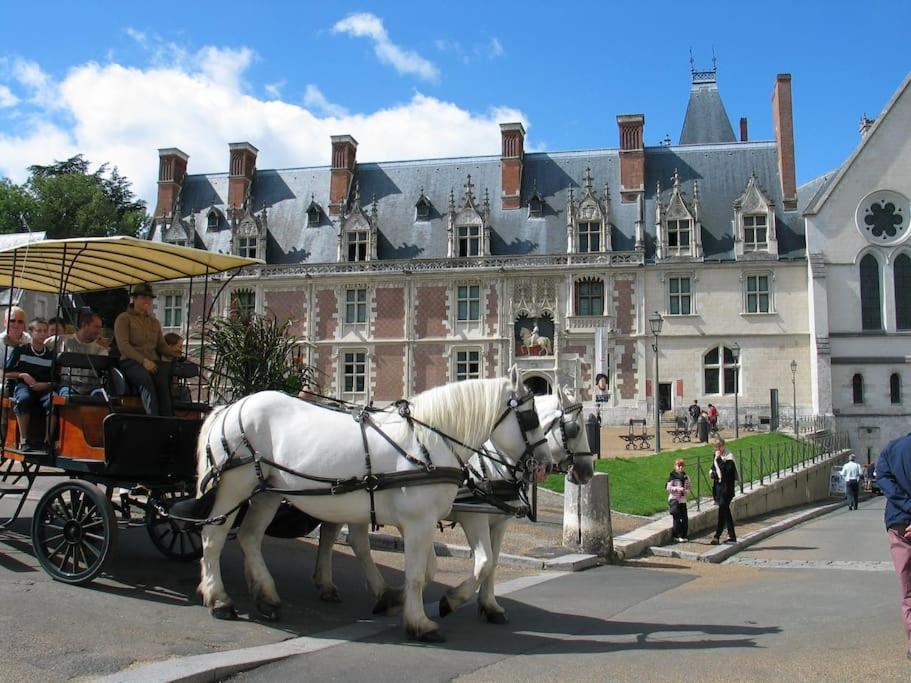 Blois City - Le Petit Louis XII Kültér fotó